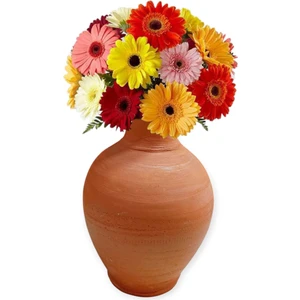 Rustik Toprak Vazo