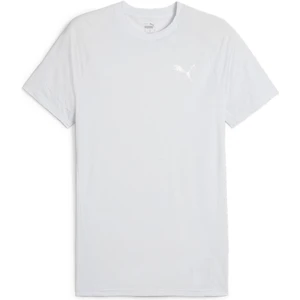 Evostripe Tee Erkek T-Shirt