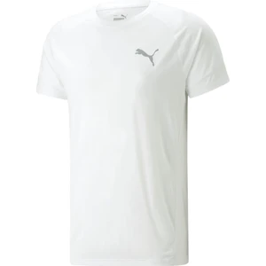 Evostripe Tee Erkek T-shirt