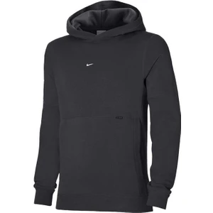 M Nk Strke22 Po Hoody DH9380-070 Erkek Kapüşonlu Sweatshirt