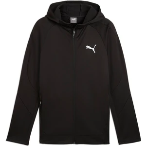 Evostripe Full-Zip Hoodie Erkek Ceket