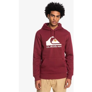 Big Logo Hood Erkek Sweatshirt EQYFT04450