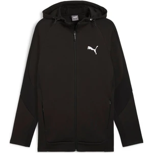 Evostripe Full-Zip Hoodie Erkek Ceket