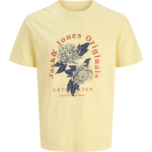 Jack & Jones Jorazur Erkek Tişört