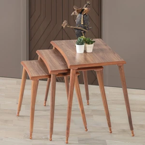 İnegöl Sehpa 3'Lü Ceviz Dikdörtgen Ahşap Zigon Sehpa Lüx Ayaklı E9