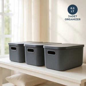 3 Adet Çok Amaçlı Kapaklı Antrasit Organizer Kutu 242138