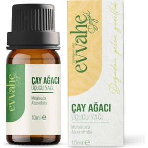Evvahe Doğal Çay Ağacı Yağı (10ml.)