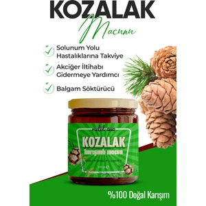 Kozalak Macunu Pekmezi Çam Kozalağı 240GR