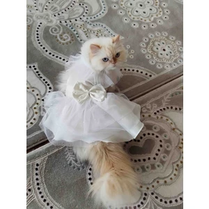Kedi &köpek Gelinlik Abiye Elbise