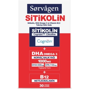 Smart Sitikolin, Dha Omega 3 Ve B12 (30 Kapsül) Norveç Balık Yağı