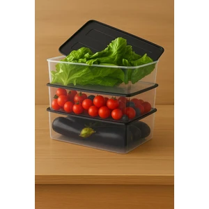 Ray Plastik 3 Adet Easy Saklama Kabı, 4 Lt.
