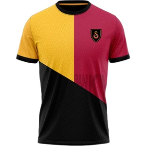 Gs Store Galatasaray Erkek Frankowski Design Fc T-Shirt E251272