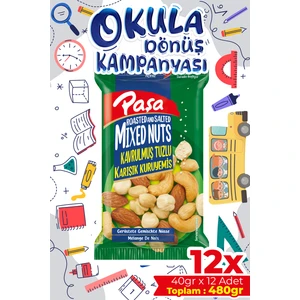 Paşa Kuruyemiş Kavrulmuş Karışık Lüx Kuruyemiş 40 gr x 12 Adet (Toplam 480 gr )