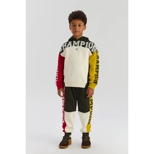 Bg Store Erkek Çocuk Renkli Sweatshirt