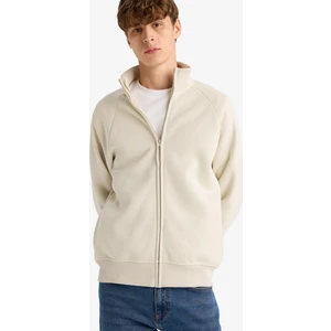 Boxy Fit Dik Yaka Baskılı İçi Yumuşak Tüylü Cepli Fermuarlı Sweatshirt E1367AX25AU