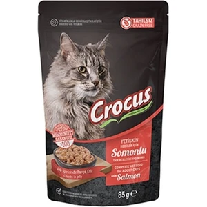 Tahılsız Somonlu Jöleli Pouch Kediler için Yaş Mama 85 G