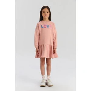 Bg Store Kız Çocuk Gül Kurusu Elbise