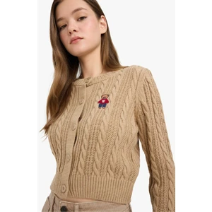 Regular Fit Bisiklet Yaka Düğmeli Triko Hırka E8237AX25WN