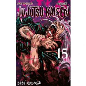 Jujutsu Kaisen 15. Cilt