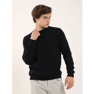 Lacivert Erkek Regular Fit Bisiklet Yaka Sweatshirt