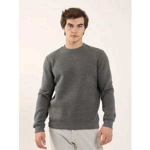 Antrasit Erkek Regular Fit Bisiklet Yaka Sweatshirt