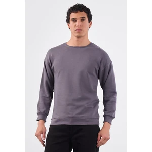 Antrasit Bisiklet Yaka Regular Fit Erkek Sweatshirt