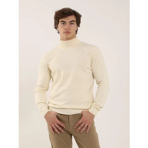 Kemik Erkek Slim Fit Tam Balıkçı Yaka Triko
