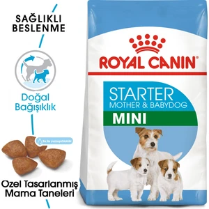 Royal Canin Mini Starter Mother & Babydog 4 kg Köpek Maması