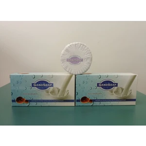 Ganosoap Keçi Sütlü ve Ganoderma Mantarlı Sabun 2 Kutu