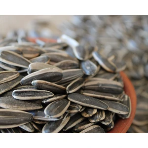 Çolpan Kuruyemiş Tuzsuz Çekirdek - 1 kg