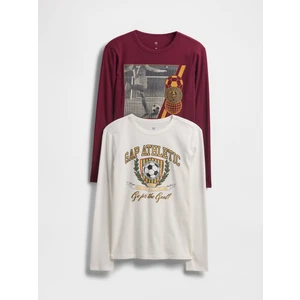 Erkek Çocuk Bordo Grafik T-Shirt (2’li)