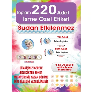 Kişiye Özel Elsa Temalı Okul Etiketi – Defter, Kalem, Kitap Etiketi 220 Adet Suya Dayanıklı, Silinmez Sticker. Renkli ve Kalıcı Yapışkanlı Etiketlerle Okul Eşyalarınızı Kolayca Ayırt Edin