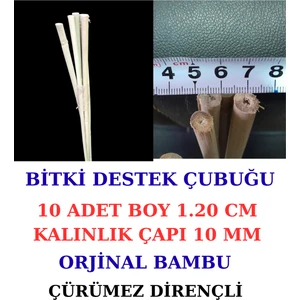 Bambu Bitki Destek Çubuğu 10 Adet -120 cm