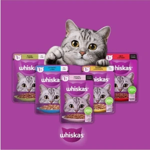 Sığır 5 Adet Tavuk 5 Adet Somon 5 Adet Ton Balıklı 5 Adet Kuzulu 4 Adet Karışık Yaş Kedi Ma