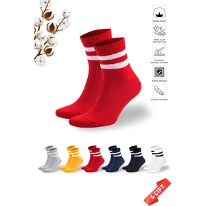 Çizgili Renkli Kadın Tenis Çorabı  Dikişsiz 6'lı