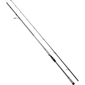 Matrix Fuji 300 cm 30-100 gr Shore Jig Kamış