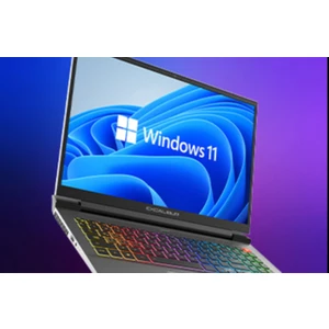 Windows 11 Pro Lisans + Flash Bellek (16 Gb) Free Dos Için - Windows 11 Kurulum Usb'si