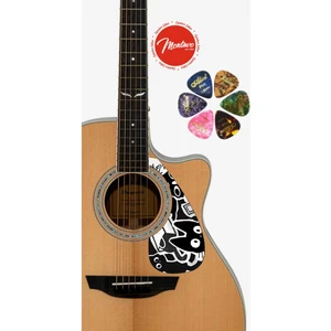 6'lı Gitar Penası + Pena Korumalığı Set