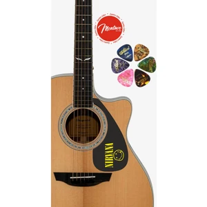 6'lı Gitar Penası + Pena Korumalığı Set