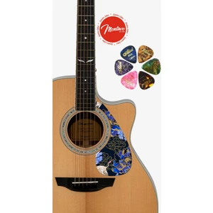 6'lı Gitar Penası + Pena Korumalığı Set