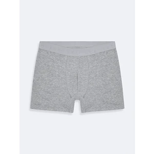 Gri Boxer
