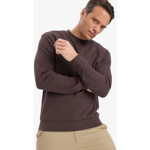 %100 Pamuk Regular Fit Bisiklet Yaka Sweatshirt E8339AX25AU