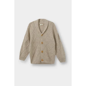 Erkek Bebek Düğmeli Triko Hırka F2332A525AU