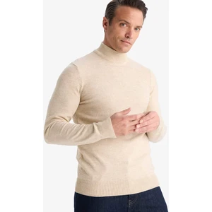 Slim Fit Dar Kesim Balıkçı Yaka Basic Düz Triko Kazak R1127AZ25WN