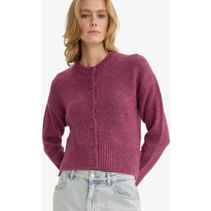 Regular Fit Bisiklet Yaka Düğmeli Triko Hırka F3031AX25WN