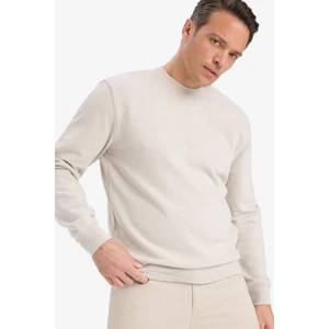 %100 Pamuk Regular Fit Basic Sweatshirt E8339AX25AU