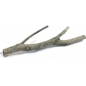 Mutlu Kuşlar Serisi / Doğal Çatallı Ağaç Kuş Tüneği - 35/45CM  (Yemlik ve Meşe Tohumu Hediyeli)