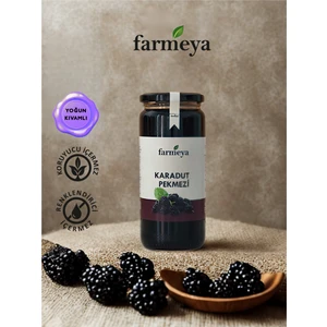 Karadut Pekmezi 610 gr