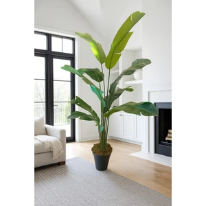 Yapay Starliçe Islak Dokulu 9 Geniş Yapraklı 170 cm Dekoratif,modern Salon Ağacı