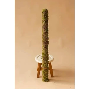 Bitki Destek Çubuğu (Yosun Sopası) 80 cm